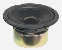 Shielded Woofer
                  GW5028S