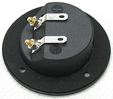 Speaker Terminal
                  RGT5025 Back